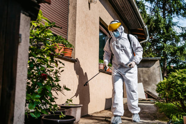 Best Best Pest Control Companies  in Worthington Hills, KY
