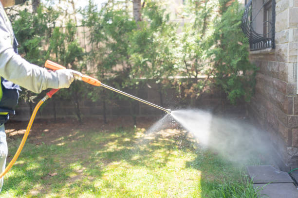 Best Best Pest Control Companies  in Worthington Hills, KY